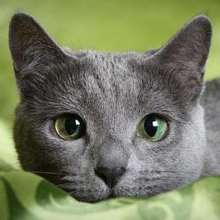 Team Wanted Github - High Resolution Space Arts for Desktop