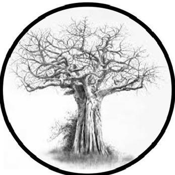 Baobab Aidd Github - Premium City Art Gallery - Mobile