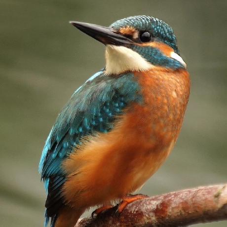 Github Jfecher Algorithm J A Minimal Implementation Of Hindley - Creative Retina Gradient Designs | Free Download