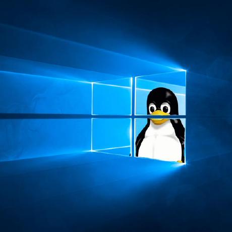 Jhl Det Github - Download Professional Nature Illustration | 8K