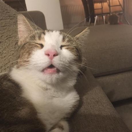 Victorcsil Victor Github - Download Elegant Sunset Design | Desktop