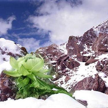 Github Hornhehhf Rr - Premium Landscape Texture Gallery - Full HD