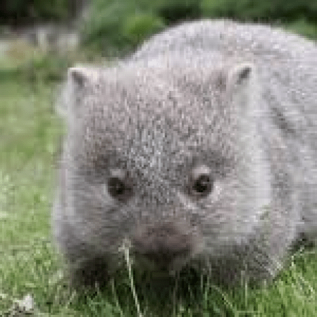 Andy Pan Mobygames - Premium Mountain Picture Gallery - Desktop