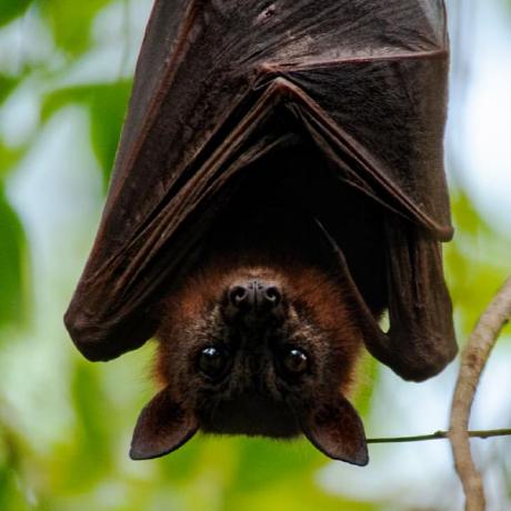 Nicolanapa Nicola Github - Space Illustrations - High Quality High Resolution Collection