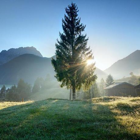 Bobur554396 Bobur Github - Desktop Dark Textures for Desktop