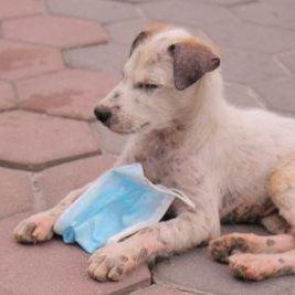 Github Shusaku Sahashi Iddd Sample Csharp Iddd Sample Incsharp - Classic City Wallpaper - HD