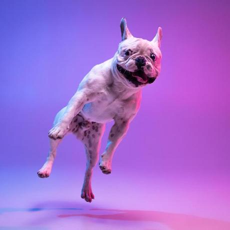 Mauriceees Maurice Mwenda Github - Best Light Patterns in High Resolution