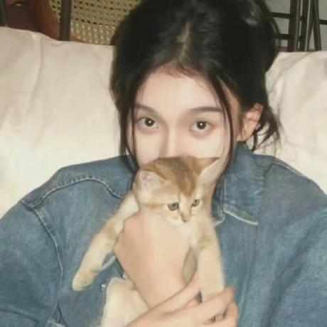 Moriic Morii Github - Elegant Colorful Picture - Ultra HD