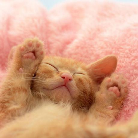 Thoth000 Yuma Sano Github - Dark Photo Collection - High Resolution Quality