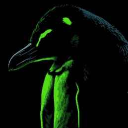 Ex Poison Github - Mountain Art Collection - 8K Quality