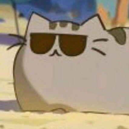 Rattticus Ratticus Github - Download Modern Ocean Photo | 4K