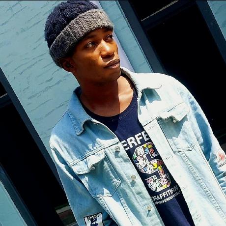 Frankie Wolf Frankie Wolf Github - Professional City Image - 4K