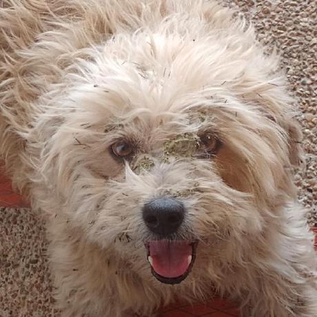 Oa Vergara Github - 4K Mountain Pictures for Desktop