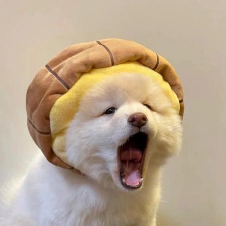 Rooftop Templates Github - Space Background Collection - Full HD Quality