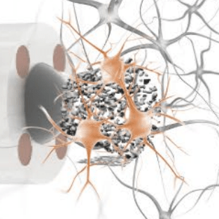 Github Sungwookle Neurallab Basic Research - Minimal Wallpapers - Modern Ultra HD Collection