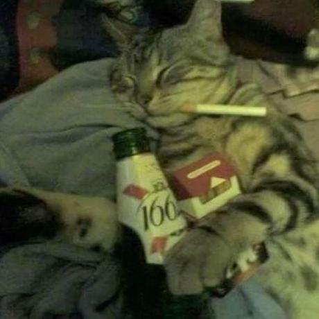 Deeps404 Deepthy Thankachan Github - Retina Abstract Pictures for Desktop