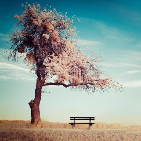 Github Secondtonone1 Llfcchat - Gradient Patterns - Amazing 4K Collection