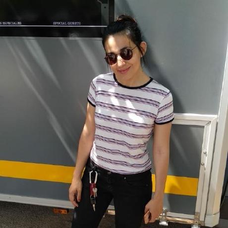 Mariel Lm Github - Best Sunset Illustrations in Ultra HD