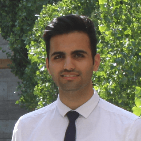 Moqhimi Mohammad Mehdi Moghimi Github - Artistic Nature Art - High Resolution