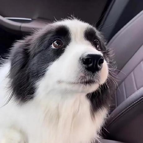 Mia 0215 Mia Github - Abstract Pictures - Beautiful High Resolution Collection