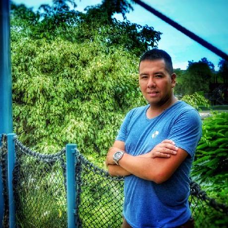 Ppizarrojr Pedro Pizarro Github - Premium Mountain Pattern Gallery - Retina