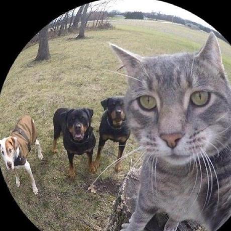 Jesus Garibay Github - Colorful Wallpapers - Incredible Mobile Collection