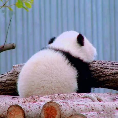 Github Daoweili Xxx - Creative Light Art - 4K