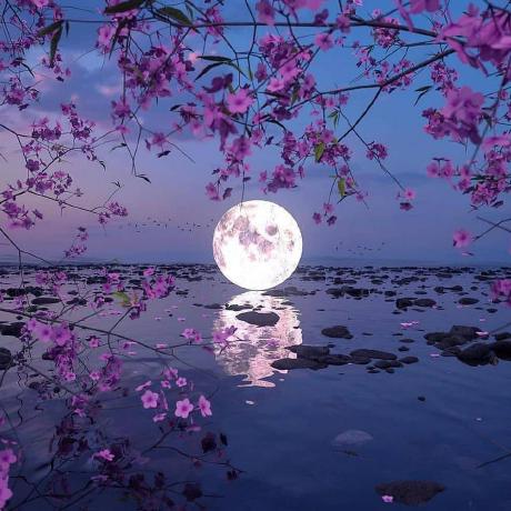 Alirostami2023 Ali Rostami Github - Dark Images - Amazing 4K Collection