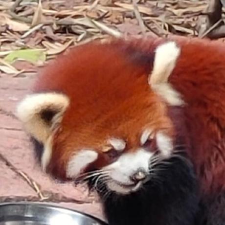 Github Yushi616 Simple Blockchain Vote - Artistic Ultra HD Landscape Illustrations | Free Download