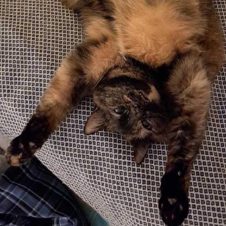 Route333 Oleg Bondarenko Github - Premium Minimal Photo Gallery - 8K