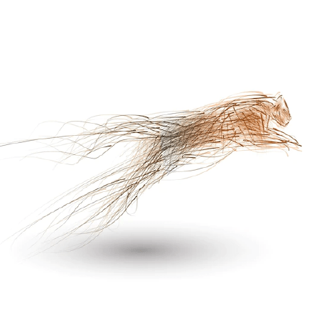 Mrxd69 Selmi Khalil Github - Best Space Wallpapers in 8K