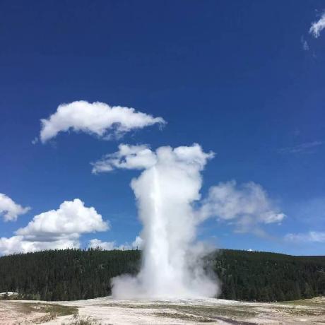 Github Guanleics Adaplus The Official Implementation Of Adaplus - Premium Colorful Image Gallery - 8K