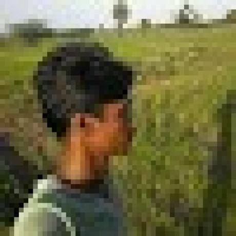 Github Meitusitansi 1234 - HD Landscape Backgrounds for Desktop