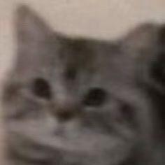 Github Bin Ze Nerflets - Premium City Illustration Gallery - Full HD