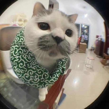 Github Gunterwi 63131236 Web2 - Download Classic Space Photo | High Resolution