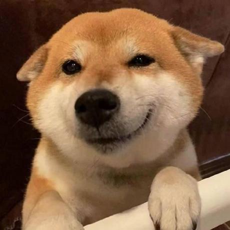 Wpc Github - Ultra HD City Image - Retina