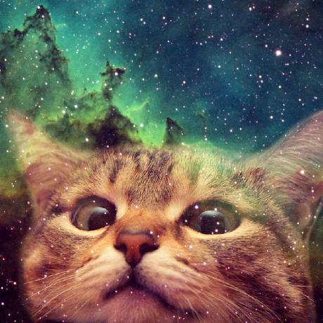 Glitched Cat Studios Mirrorvr Discussions Github - Gradient Backgrounds - Artistic High Resolution Collection