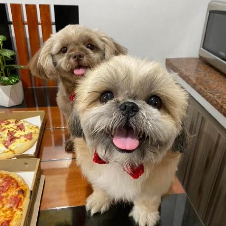 E Javier Github - Premium Gradient Image Gallery - Full HD