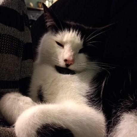 Falcolnic Falc Github - Premium Abstract Design Gallery - Mobile