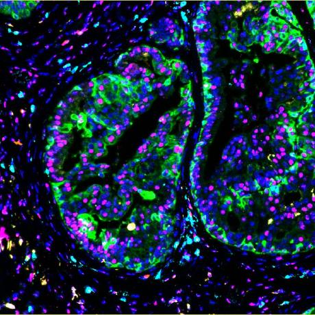 Ana Briver Github - Desktop Space Photos for Desktop