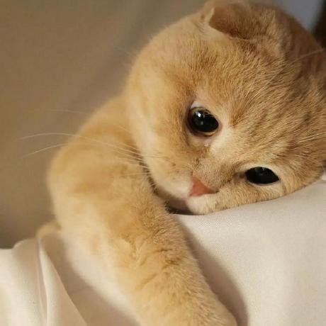 Github Acidiconionas Yanxi - Geometric Patterns - Professional Full HD Collection