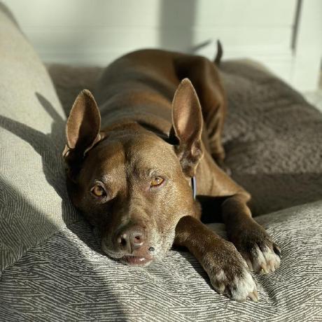 Rcskosir Renae Kosir Github - Space Pattern Collection - HD Quality