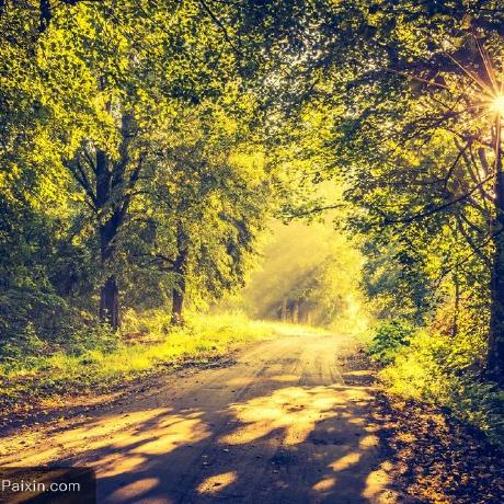 Github Hardyweb Hardyweb Hardy - Ultra HD Dark Wallpapers for Desktop