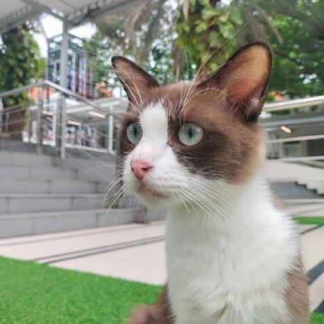 Github Juhenfw Countingobject Github Io - Best Abstract Patterns in Desktop