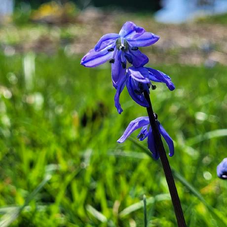 Gracefacetseng Grace Tseng Github