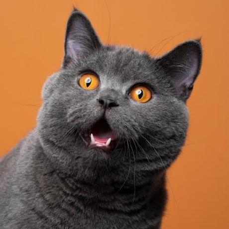 Sweetops Volodymyr S Github - 4K Gradient Textures for Desktop