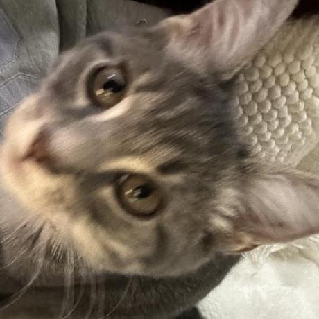 Briansloane Brian Sloane Github - Beautiful Retina Light Patterns | Free Download