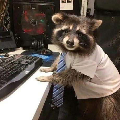 Sam81 Samuele Carcagno Github - Gorgeous Nature Art - Desktop