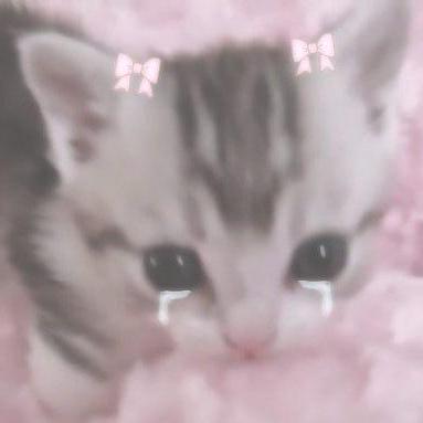 Esojogerba Jose Abrego Github - 8K City Photos for Desktop