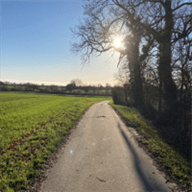 Github Tgvaughan Carlo Tim Sampling Study - Space Background Collection - Mobile Quality